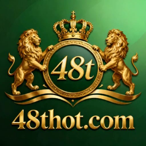 48t Logo